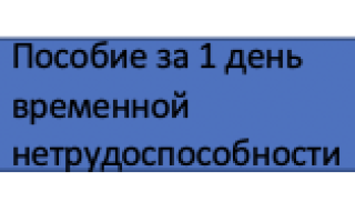 Порядок оплаты больничного листа по закону