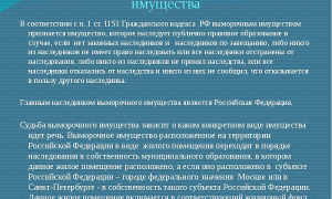 Если не вступать в наследство что будет с имуществом