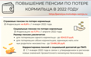 Пенсия по потере кормильца в 2022