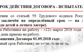 Составляем срочный трудовой договор: образец 2022 года